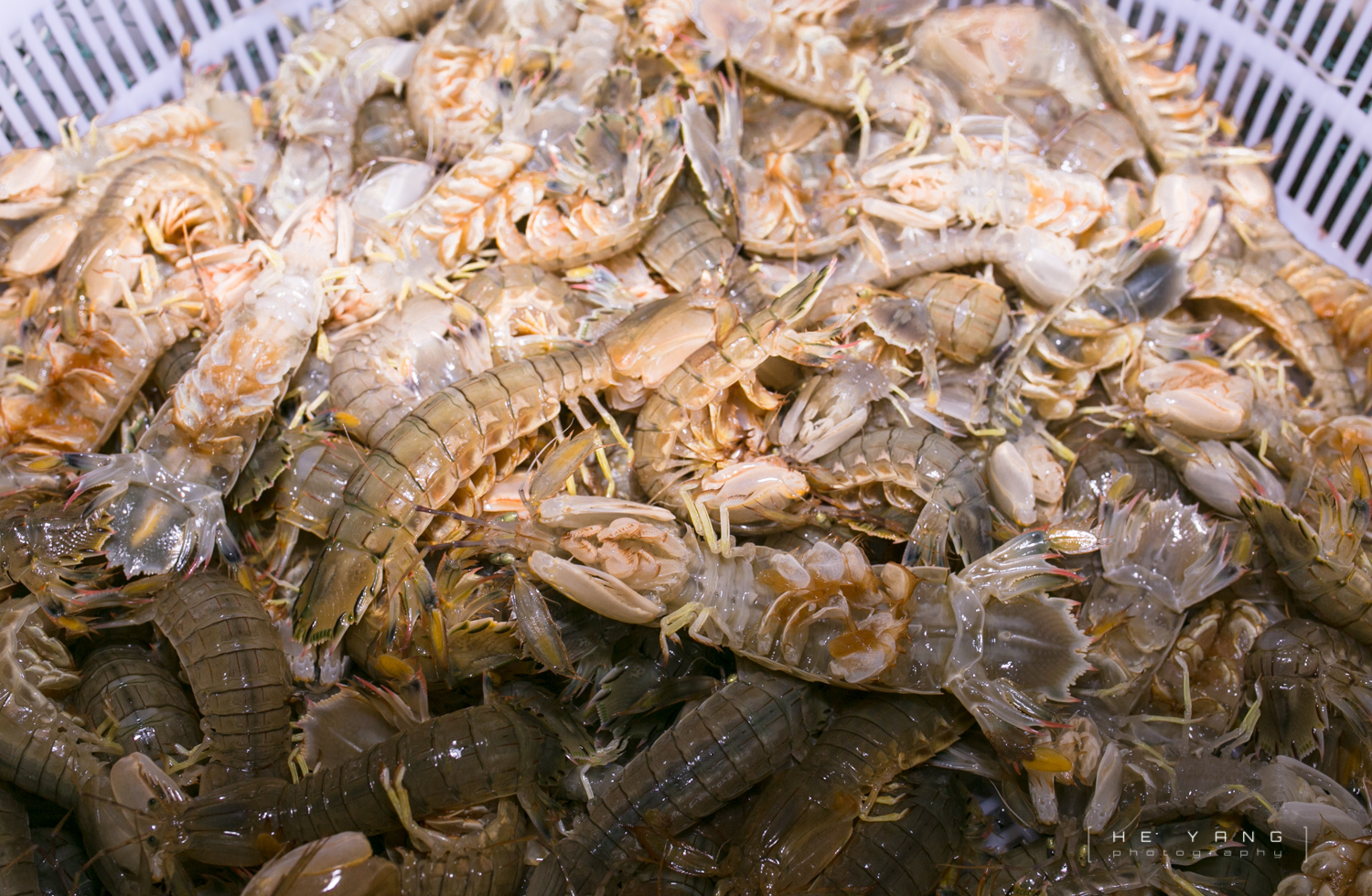 美丽的海滨城市营口鲅鱼圈,营口市鲅鱼圈十年变化