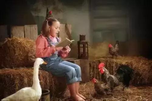 中考1600个英语词汇表,70篇小故事记住中考英语1600词