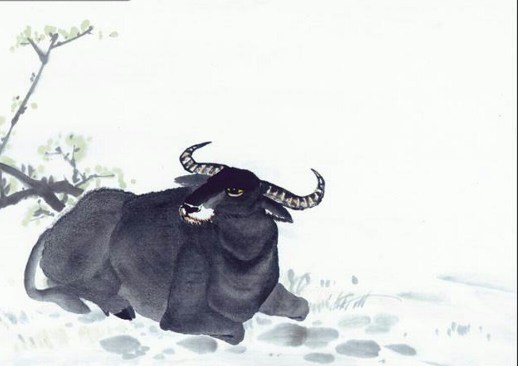 最全十二属相,十二属相都是什么属相