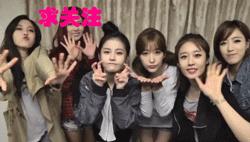 手机水印相机照片怎么导入电脑,水印相机电脑版怎么批量处理照片