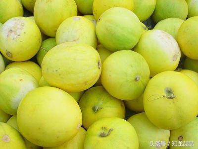 山东最香的瓜,口感软糯又甜的瓜