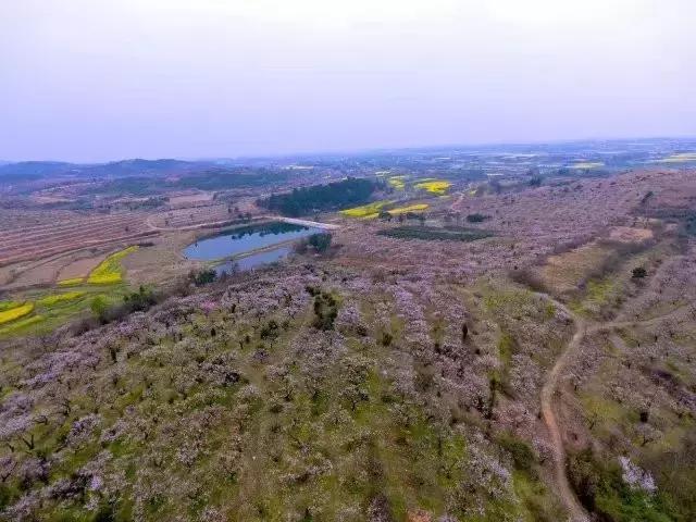 湖北孝昌今年美爆了！只因做了个“艰难的决定”