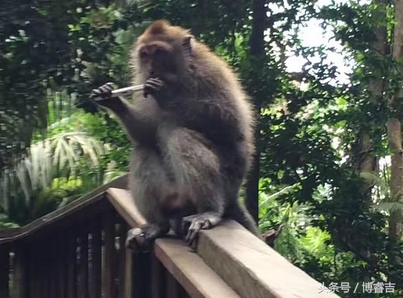 体验过你从未体验过的情感,体验你没体验过的人生