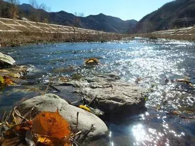 定个小目标100天,定个小目标完整版