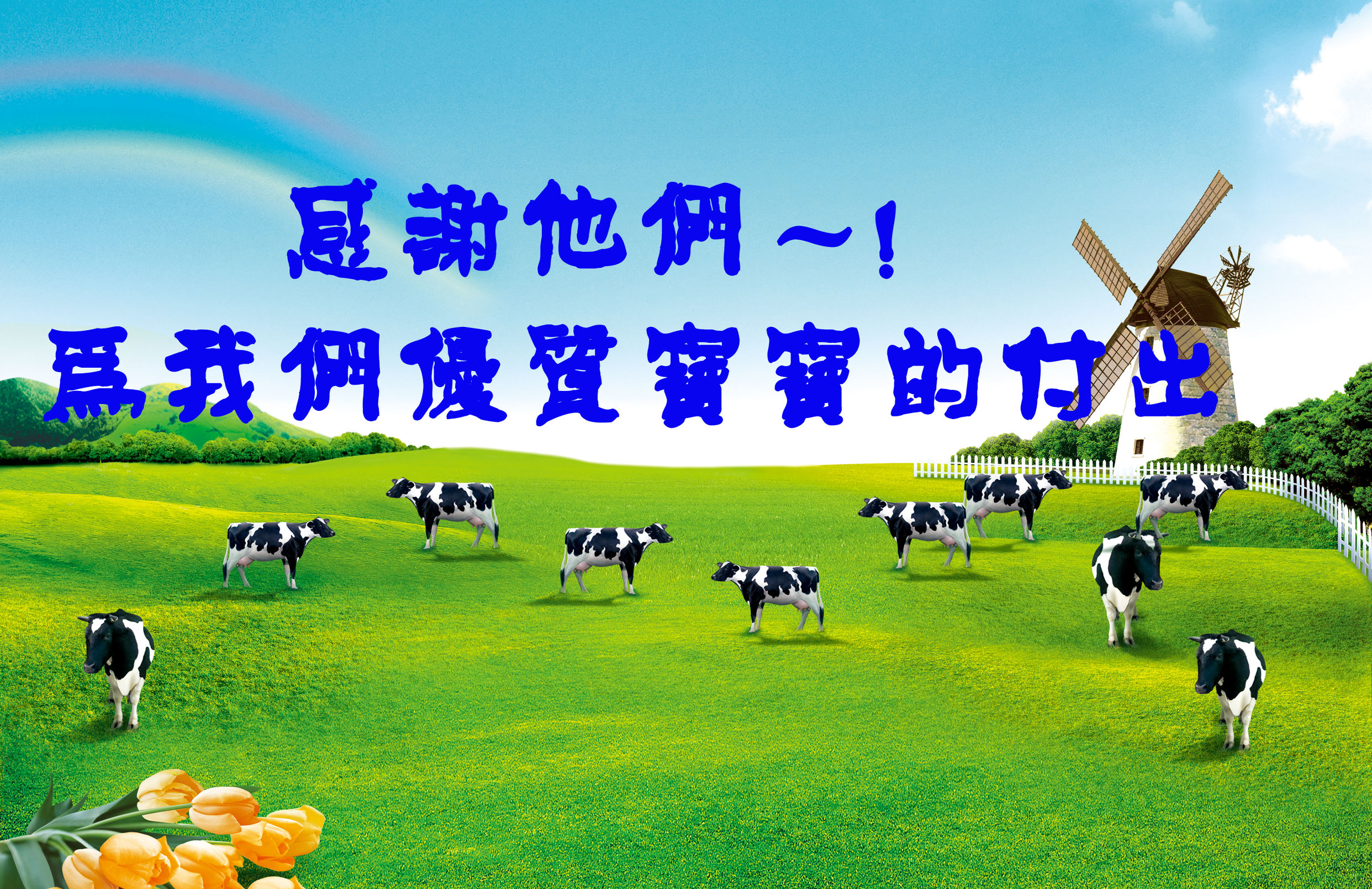 国产奶粉哪款比较靠谱,国产奶粉的前身