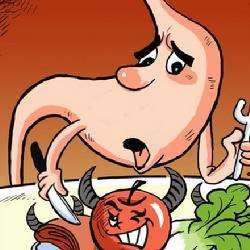 消化系统的知识口诀,关于消化系统的小知识