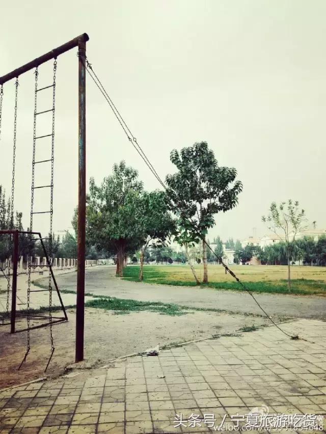 新华学院，不散的青春