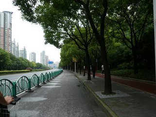 合肥早报新闻,安徽合肥今日新闻直播