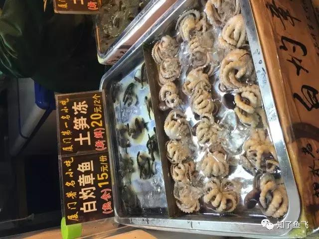 一位美丽学姐的暖心游记｜初见，厦门