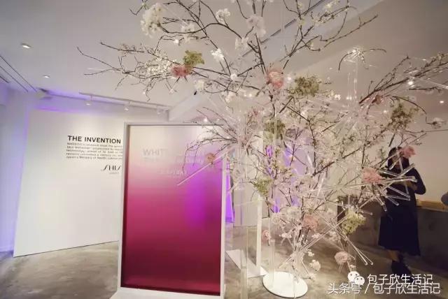 最美樱花季粉色海洋,春季哪里樱花最美最好看