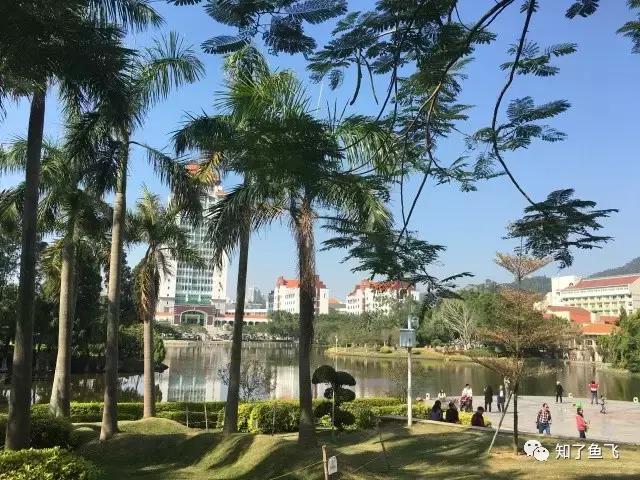 一位美丽学姐的暖心游记｜初见，厦门