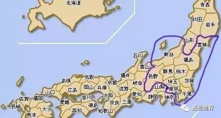 进口纸尿片为什么便宜,日本进口纸尿片