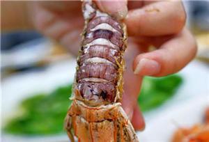 三亚适合同学去的地方 (高中毕业之旅三亚)