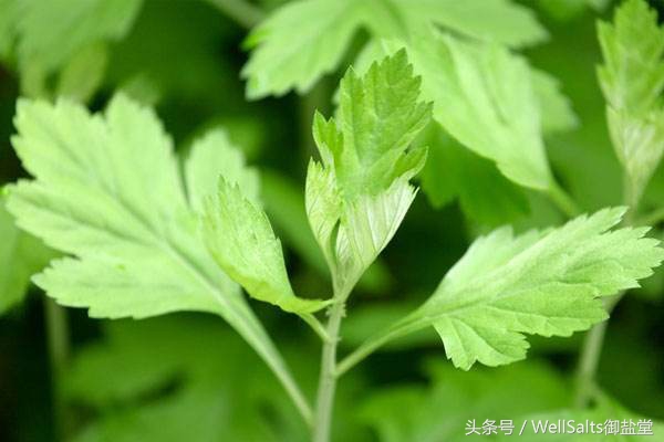 头发护理小妙招,长发族怎么护理头发