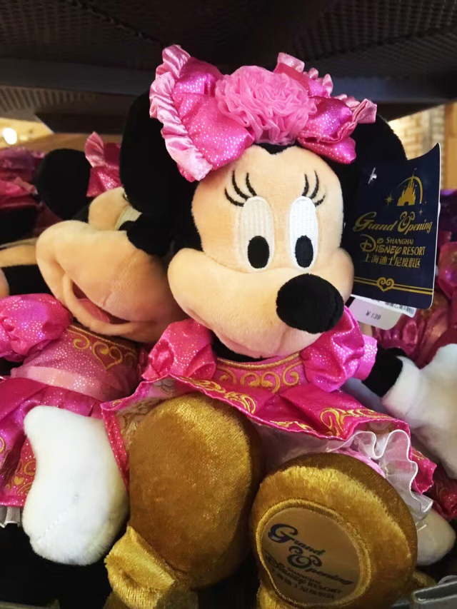 每个女孩心中都有一个迪士尼梦,每一个人心里都有一个迪士尼公主