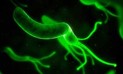 吃这种水果治好了胃癌,腹痛腹泻呕吐反酸吃什么药