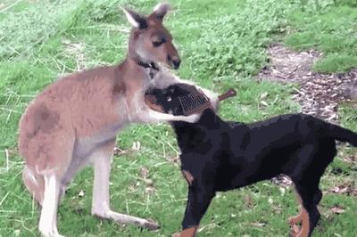 女朋友爱唠叨如何调整心态,有一个爱叨叨的老婆子怎么办
