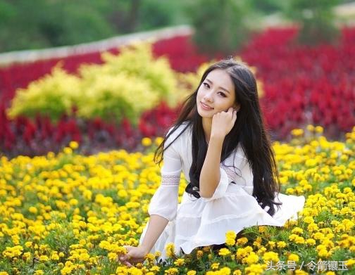 令箭出自哪里,令箭的言情小说