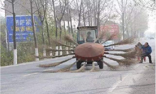 最聪明的农民发明,一个农民的发明震撼了所有人