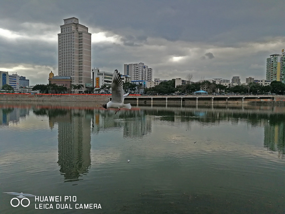 徕卡双摄作品,华为p10徕卡双摄怎么用