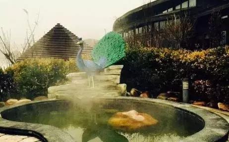 一起泡温泉的奢侈的享受,夏日一起泡温泉