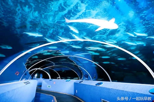 北京春天亲子游,春天带孩子去京郊旅游