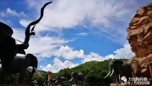 麻麻，为什么不能带我去非洲！