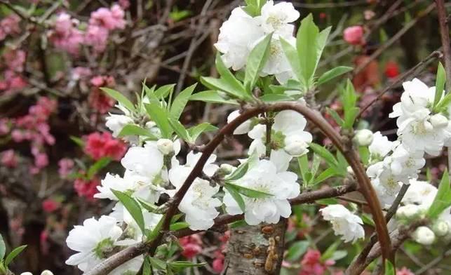 吃鲟鱼、泡温泉、赏美景、玩陶艺···完美周末就这么简单！