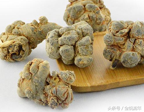 吃三七吃出毛病,吃土三七吃出肝坏死的案例