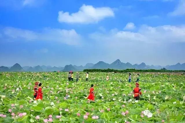 广西第四批特色村寨,贵港特色的村寨是什么村庄