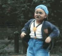 荷兰猪出门需要准备什么,荷兰猪可以独自待一个月