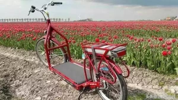 荷兰人骑的自行车,荷兰人发明无人驾驶自行车