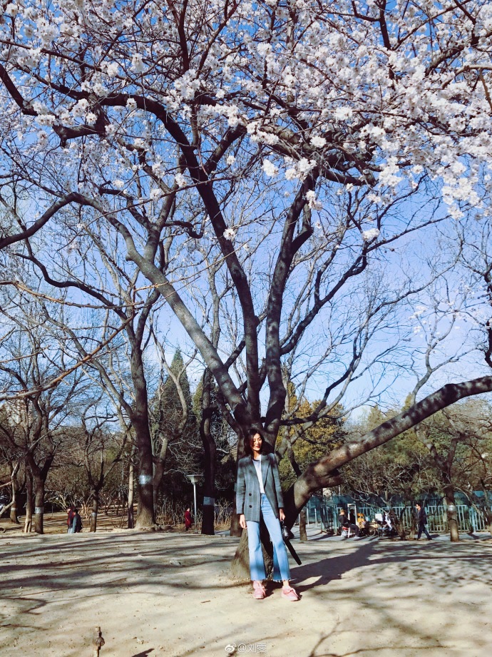 刘雯的最潮穿搭,翻遍刘雯的所有穿搭