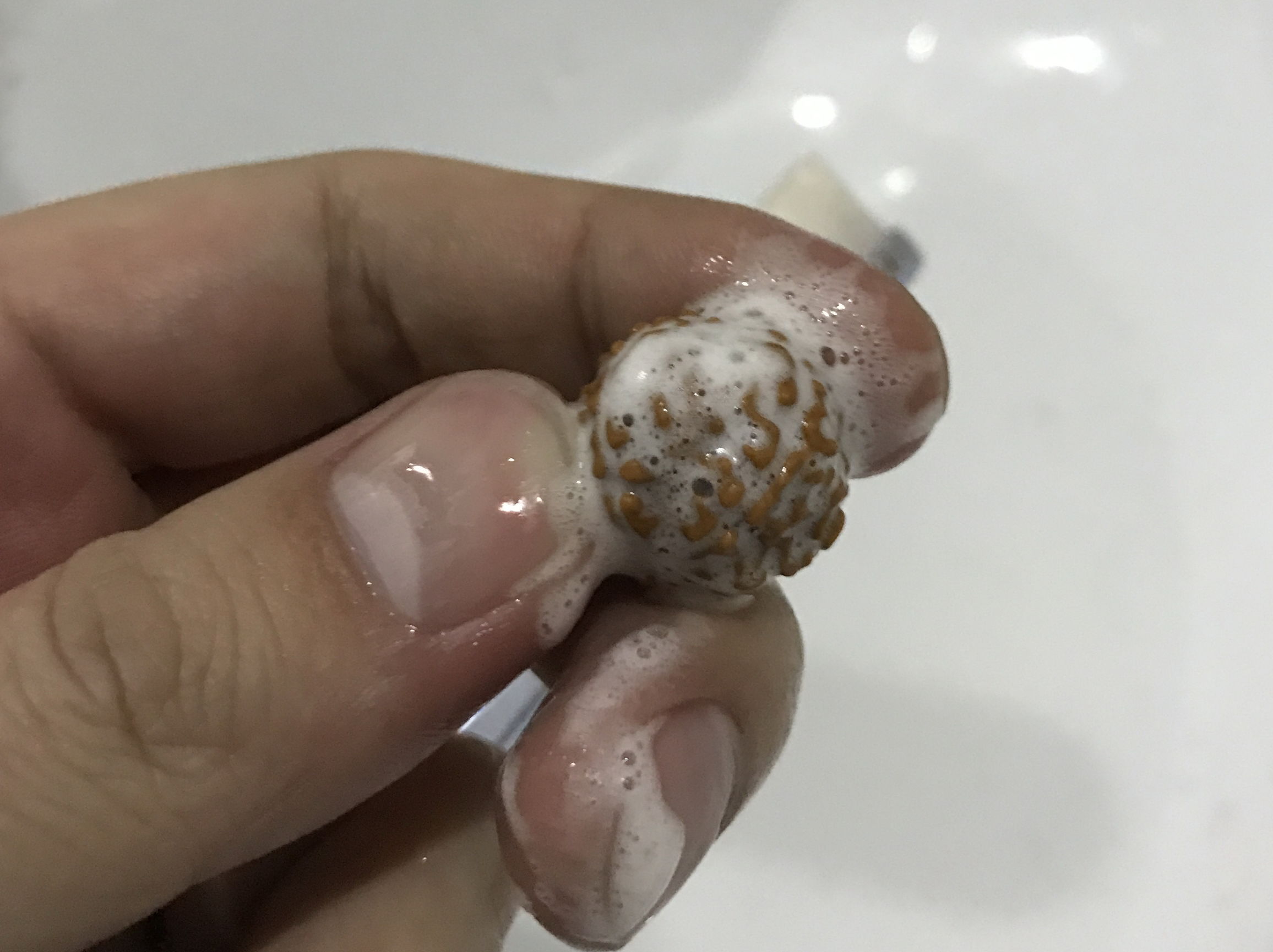 顽主解说,顽主文玩视频