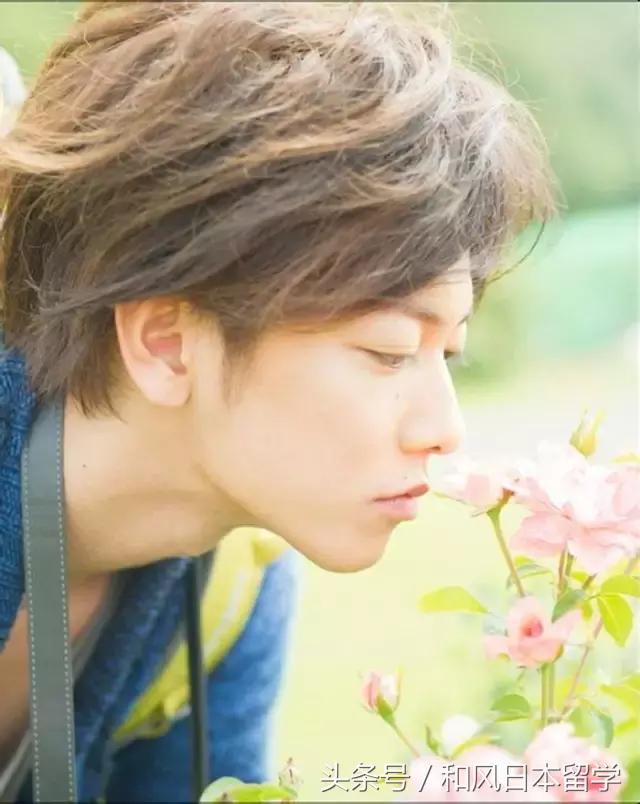 佐藤健颜值评价,佐藤健在日本颜值排名