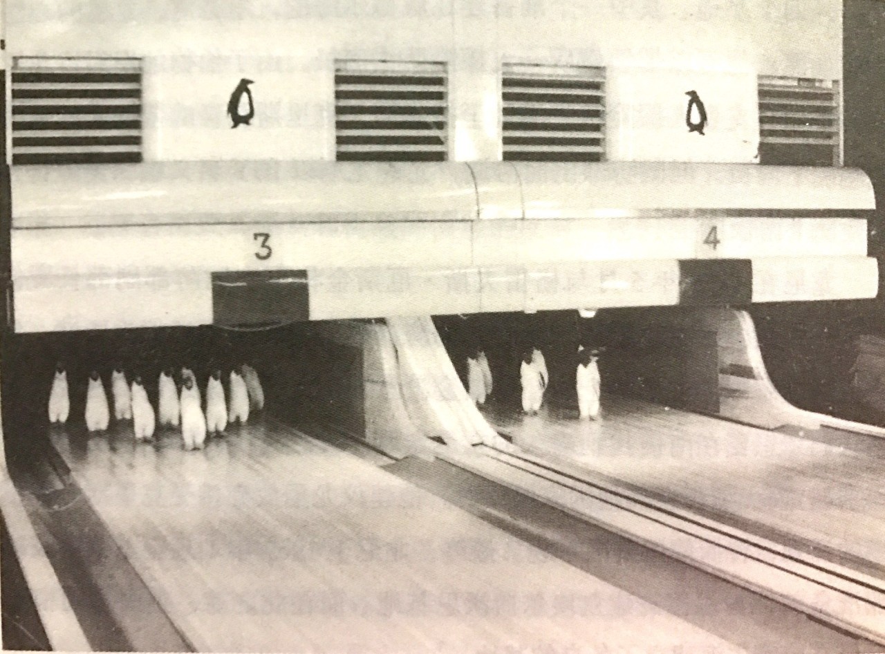 去南极前奏,去南极探险的故事