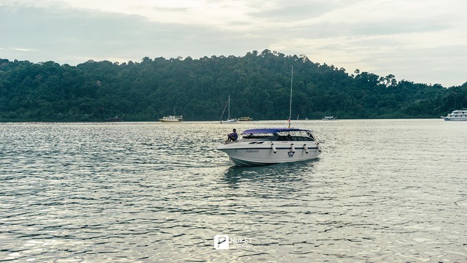 每当海岛又下起了雨,每当海岛又下起了雨读书笔记