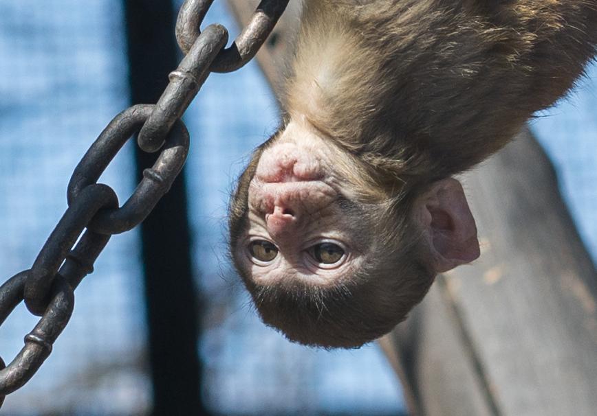 索尼fe85mmf18镜头正式开启预售,索尼fe85mmf1.8风景