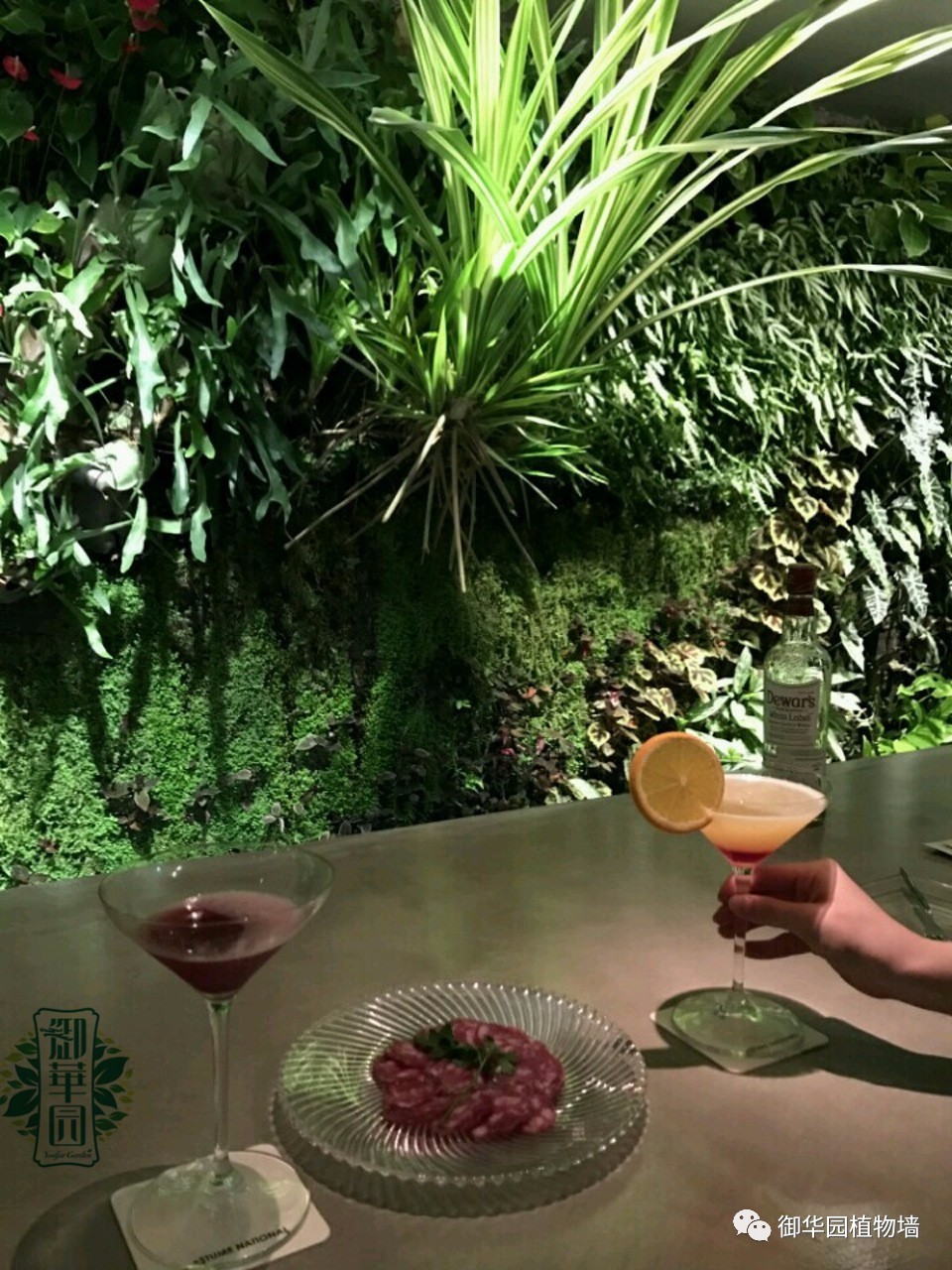 养花养眼养心解乏,卧室养花推荐高级植物