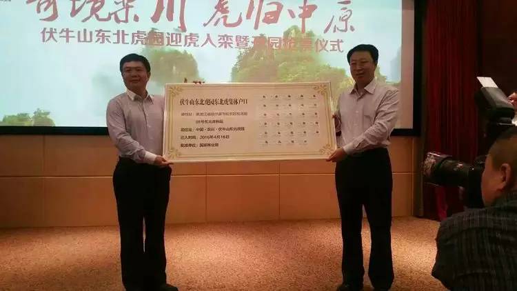 栾川游览图,栾川风景航拍