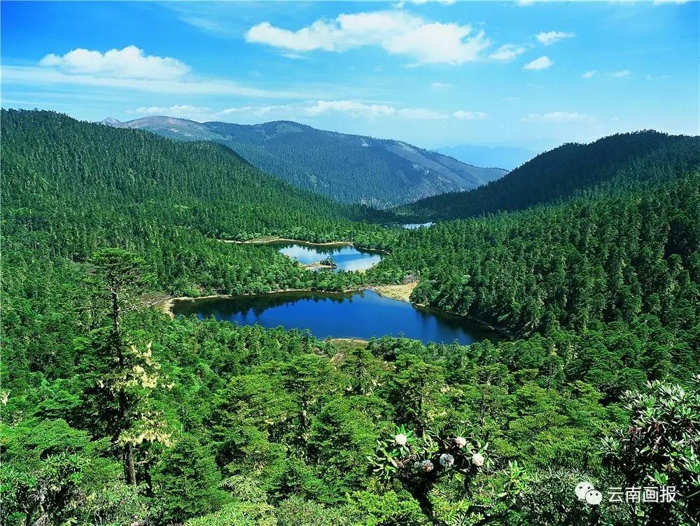 云南省什么地方风景区最好,云南生态环境最好的地方