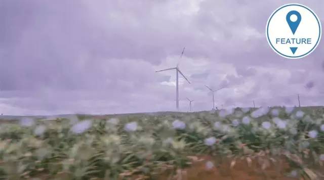 绿穹之下，感受德国中部的另一种美