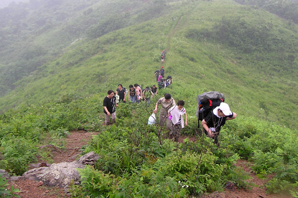 运动后疼痛的解决方法,运动过后膝盖疼痛是什么原因