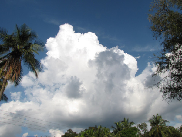 斯里兰卡旅游攻略是什么,斯里兰卡旅游攻略推荐亲子