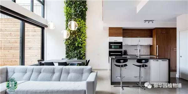 禅意风植物墙,特色植物墙