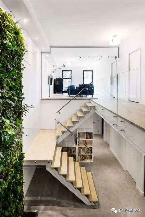 禅意风植物墙,特色植物墙