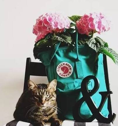 有态度|谁说双肩包就是年轻人的专利,明明是谁背谁都美啊!