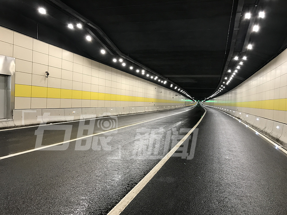 小家碧玉初长成的意思,小家碧玉初长成诗句