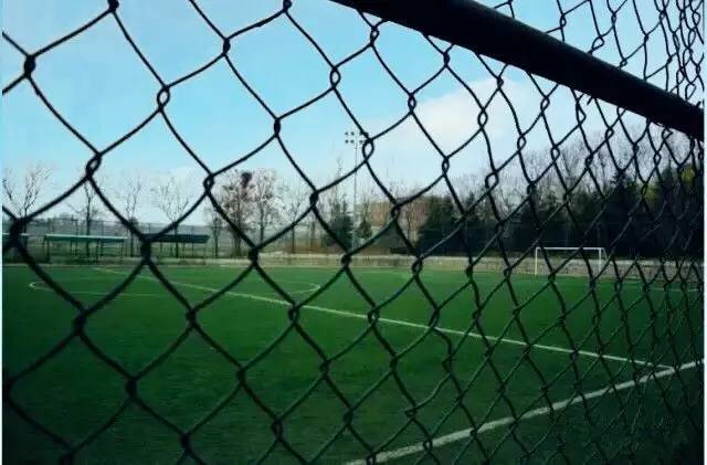 国足比赛胜利球迷庆祝,国足赢球球迷庆祝