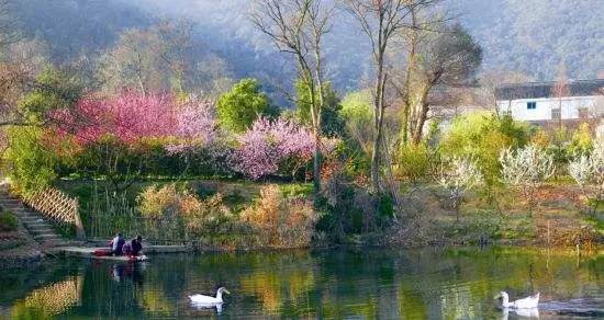 树山只差一个你丨梨花年年开,好玩的却不同